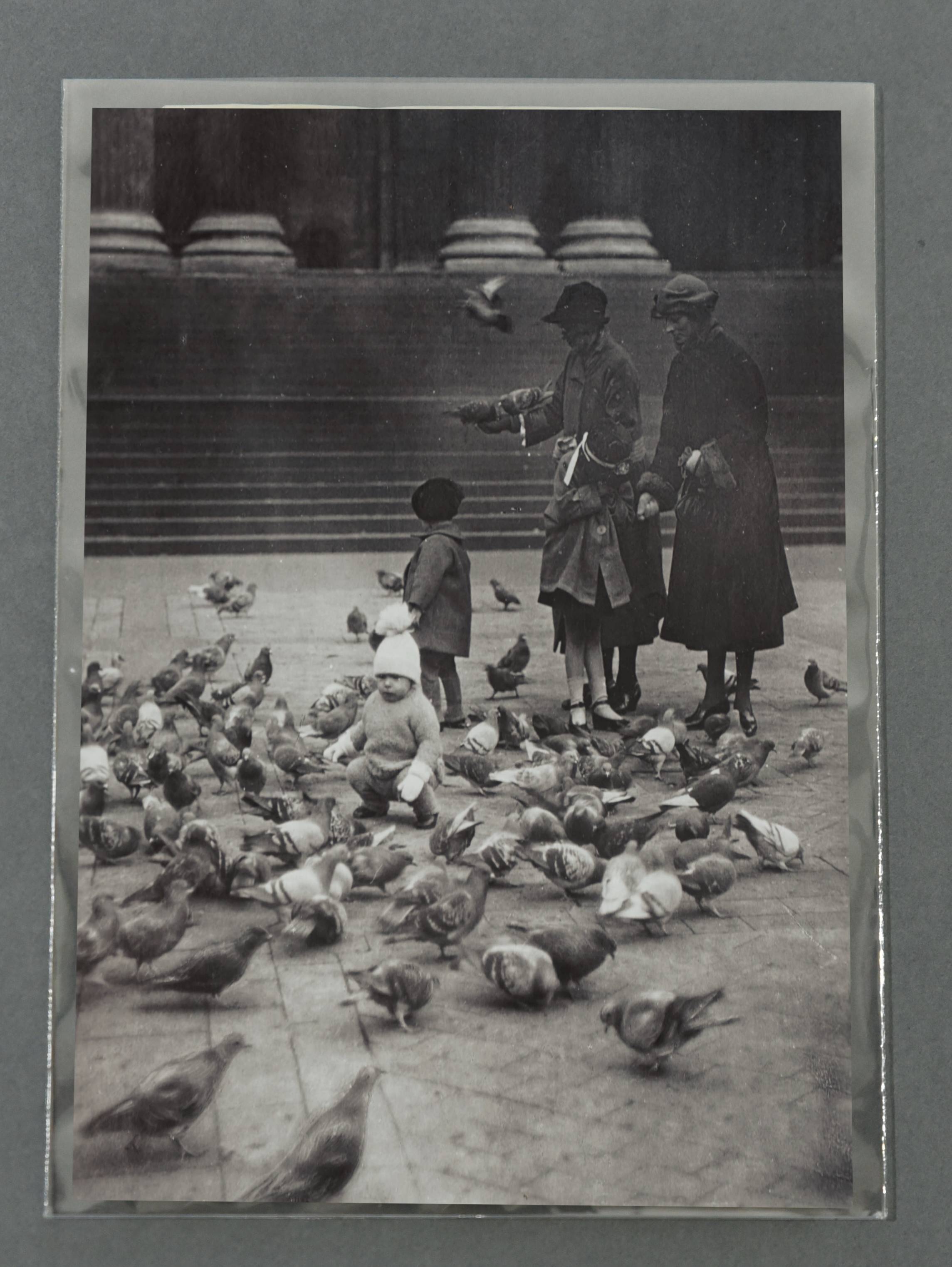 Polyester Enclosure - 5 x 7