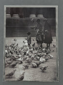 Polyester Enclosure - 5 x 7" 127mmx178mm