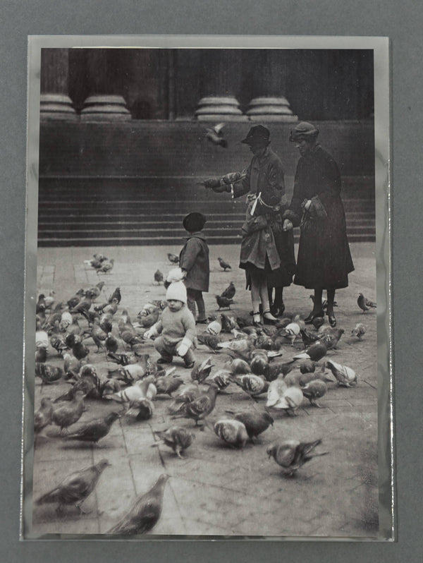 Polyester Enclosure - 5 x 7" 127mmx178mm