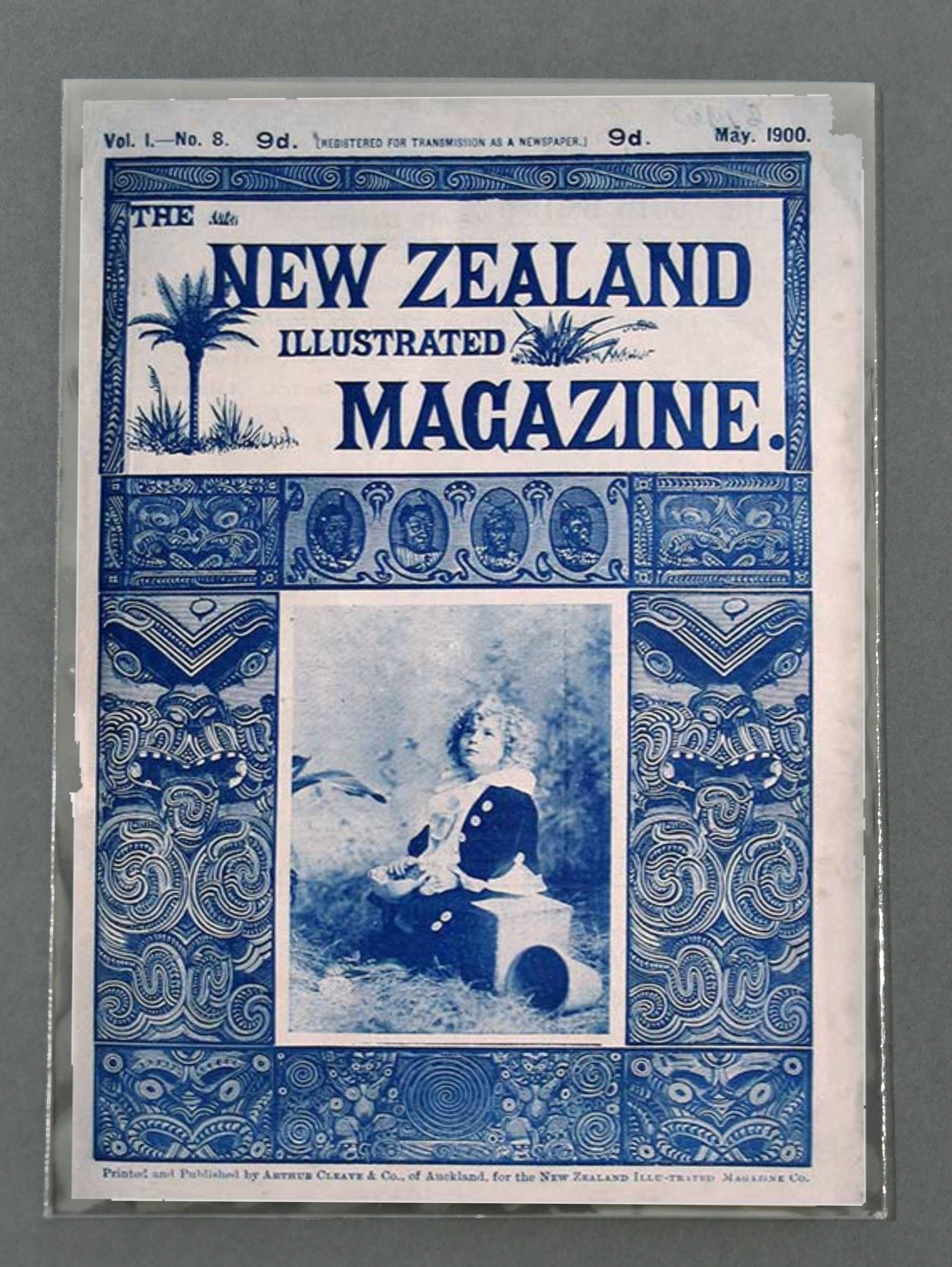 Polyester Enclosure - 8 x 10