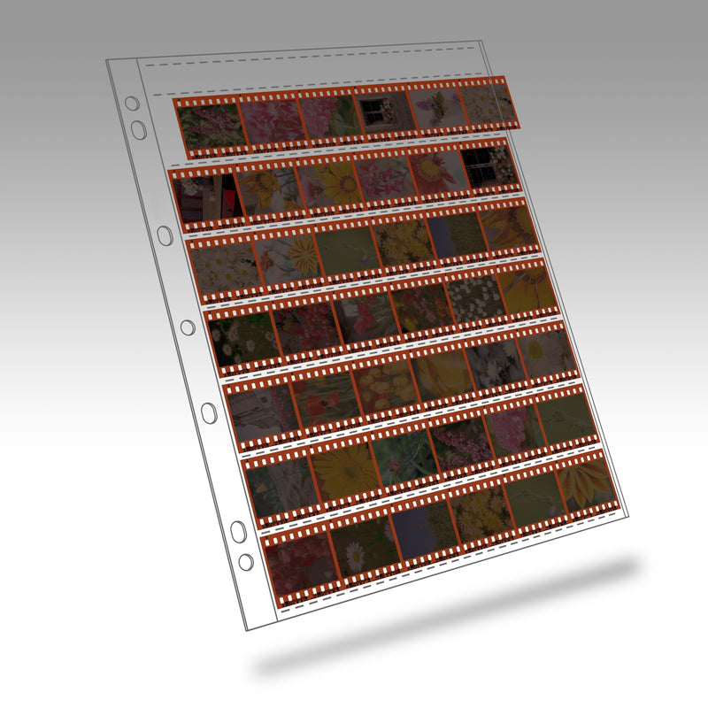 Polyethylene 35mm Negative Page 7 Strips