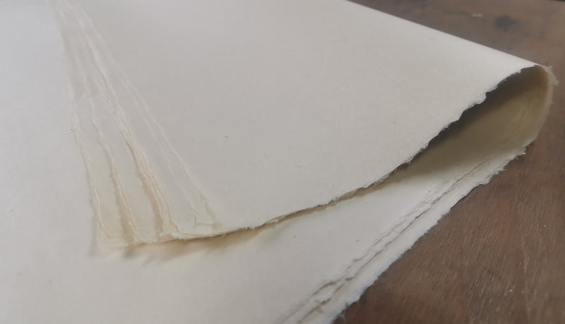 Japanese Gampi Tissue