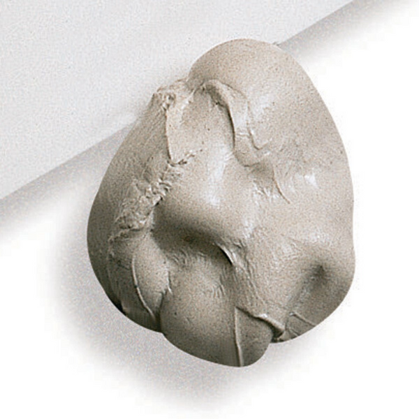 Groom Stick - Molecular trap for dry cleaning many surfaces