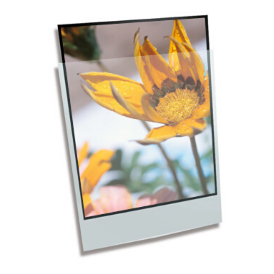 Polypropylene Enclosure - 8 x 10