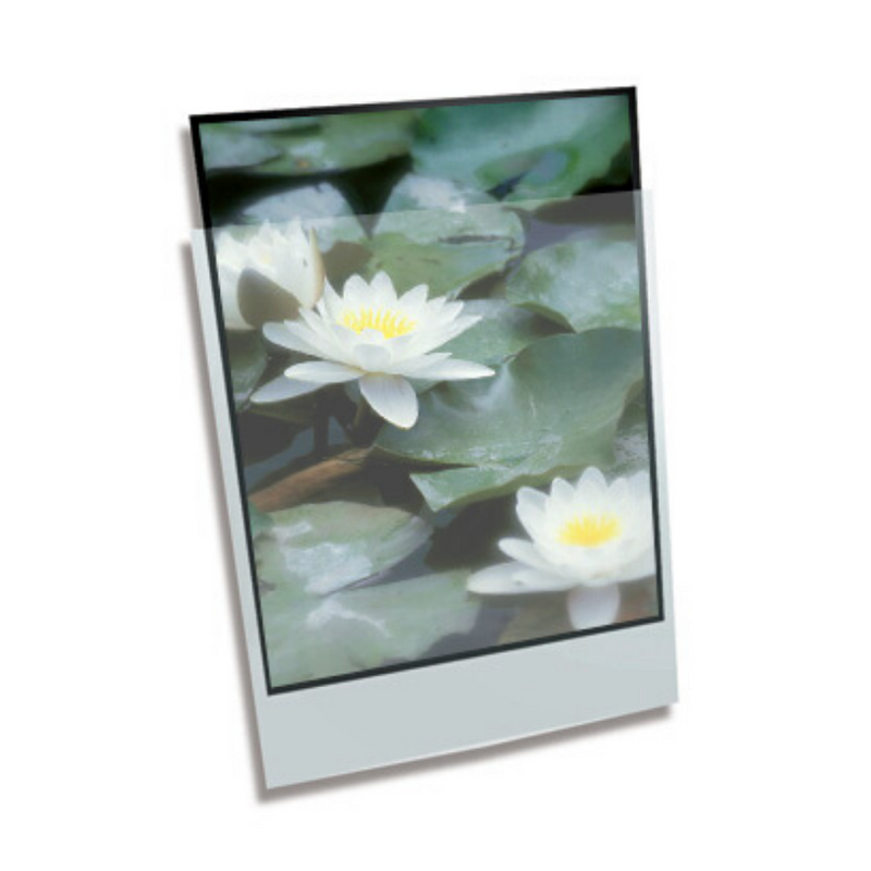 Polypropylene Enclosure - 13 x 19" 330mmx483mm (A3+)