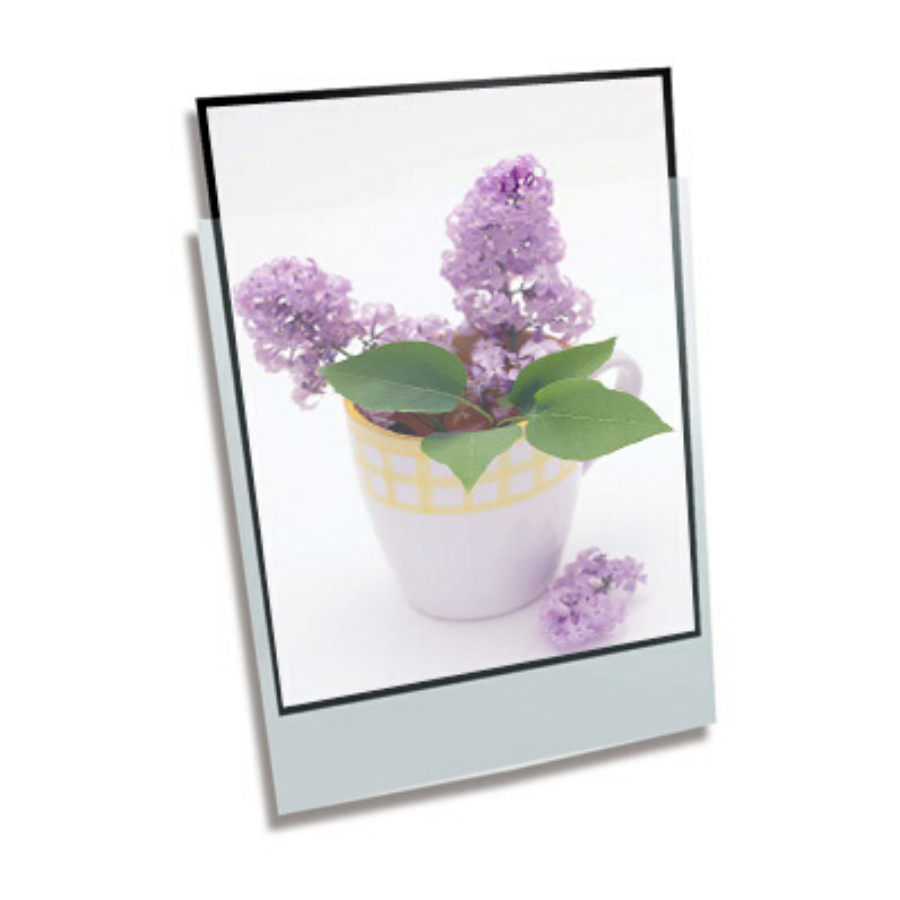 Polypropylene Enclosure Foolscap