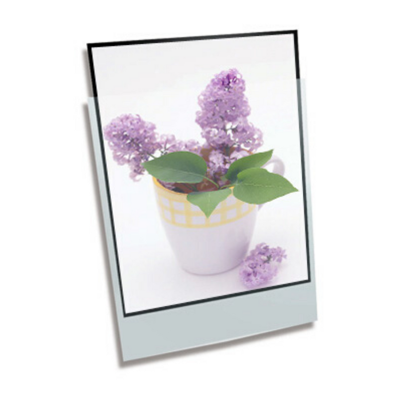 Polypropylene Enclosure Foolscap